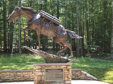 Sergeant Reckless Korean War Horse Served with Valor